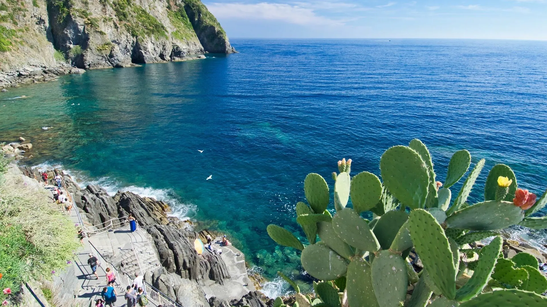 Creuza De Mae Hotel Riomaggiore