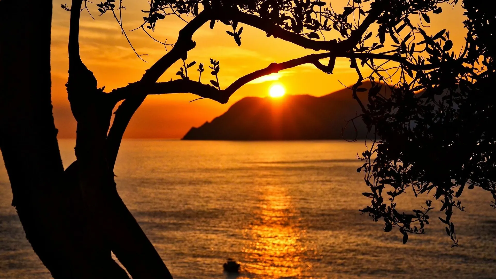 Creuza De Mae Hotel Riomaggiore Guest house